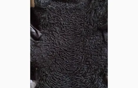Продам шкуры каракульчи