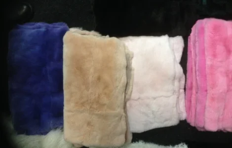 Кролик рекс.Шкуры кролика рекс