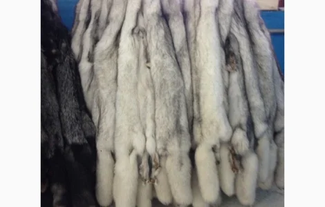 Шкуры песца вуалевого