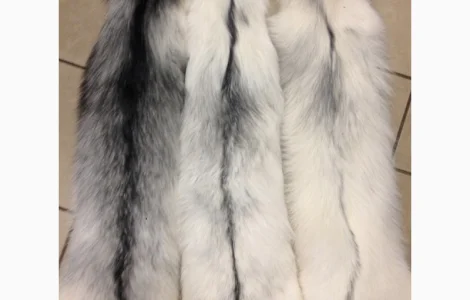 Шкуры лисы арктической