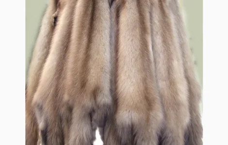 Покупаем шкурки куницы дорого – предложим лучшие цены