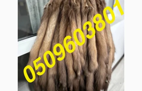 Куплю куницю дорого по Україні