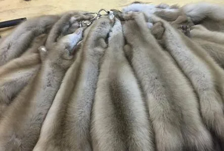 Куплю шкуры бобра и куницы