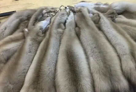 Куплю шкуры бобра и куницы