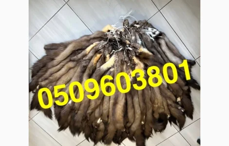 Вичиненные шкурки куницы (заводская вичинка)