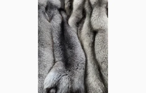 Шкурки Блю Фрост (Бастарди)