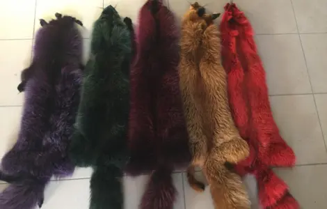 Шкуры лисы