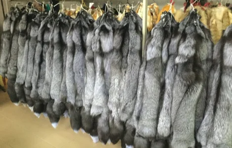 Шкуры чернобурки и других меховых животных