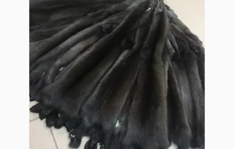 Шкуры соболя та інших тварин