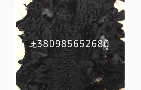 Шкуры меха каракуля на продажу