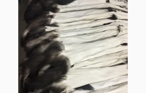 Покраска та виділка натурального хутра