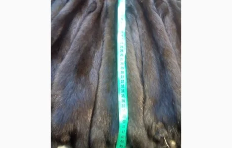 Шкуры мех соболя