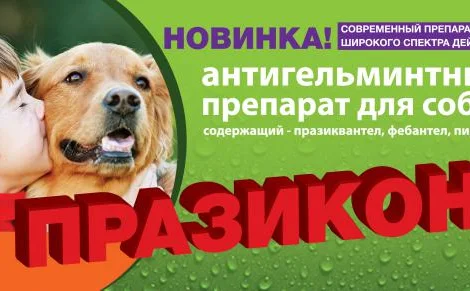 Празикон -ангельминтик широкого спектра действия