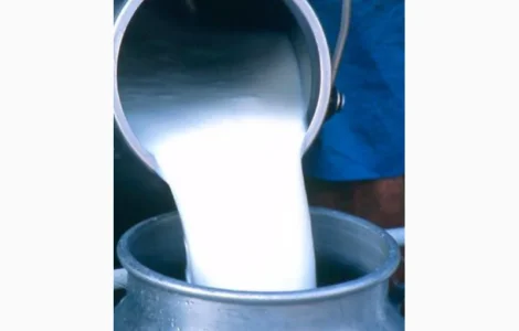 Пропонується свіже цільне молоко