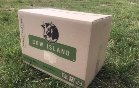 Заміна молочного жиру для виробництва сирів та продуктів