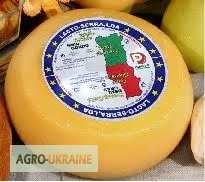 Португальський сир від виробника