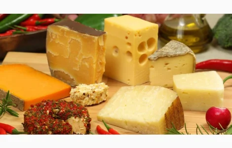 Куплю твердые сыры в ассортименте а также сырный продукт