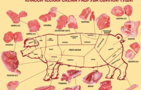 Закуповуємо Свиней