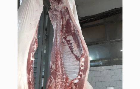 Продаем поросят, свинок, полутуши, кусок, субпродукты