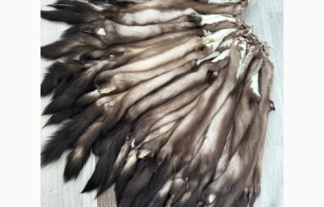 Куплю куницю камʼянку