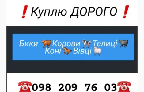 Куплю ВРХ