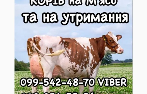 Куплю дорого врх