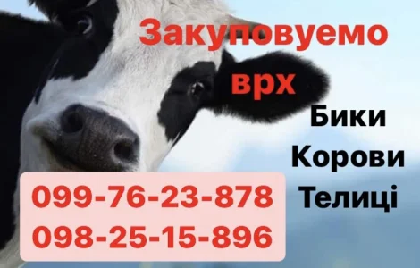 Закупівля врх