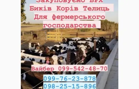 Ферма закуповуємо врх