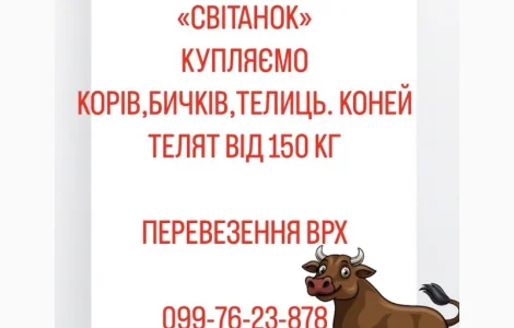 Ферма закуповуемо