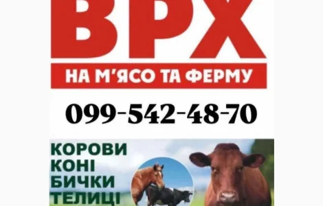 Закупівля врх