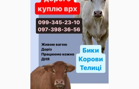 Куплю врх дорого