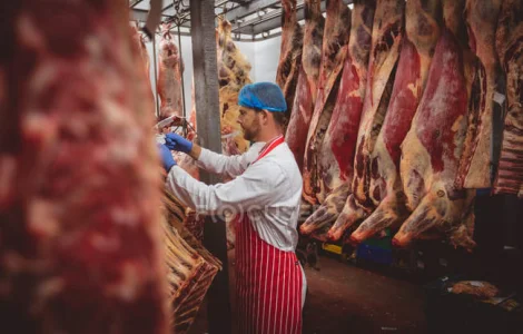 Куплю мясо коров, молодняк КРС, конина