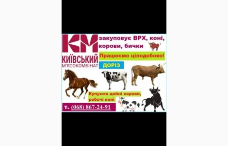 ПРИВАТНИЙ мясокомбінат закуповує врх та коні