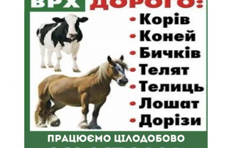 Закупівля врх та коней
