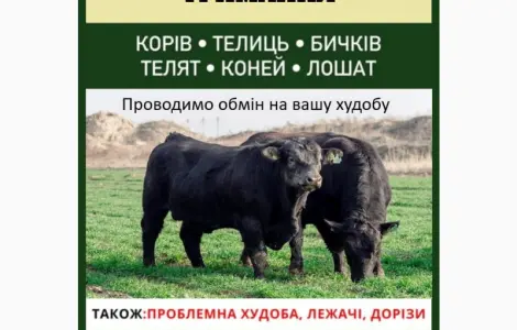 ВРХ дорого