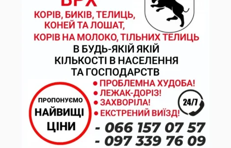 Закуповую ВРХ дорого живою вагою