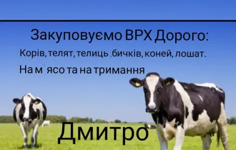 Купим: КРС