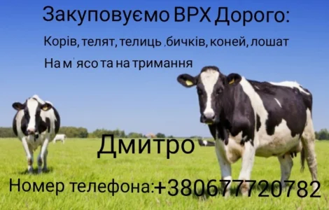 Закуповуємо