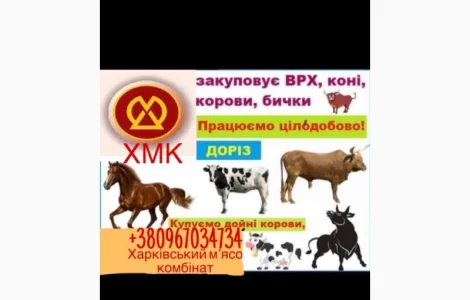 Покупка крс