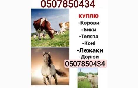 Купівля врх