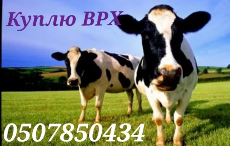 Закупівлі врз