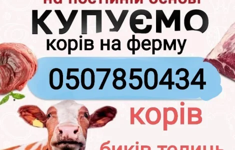 Закуповують врх