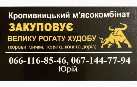 Закуповуємо велику рогату худобу