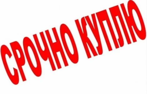 Бычки телята