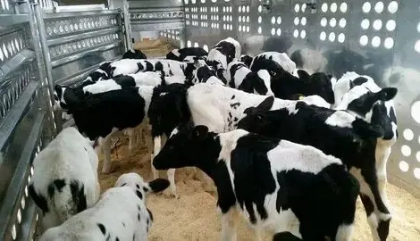 Покупка