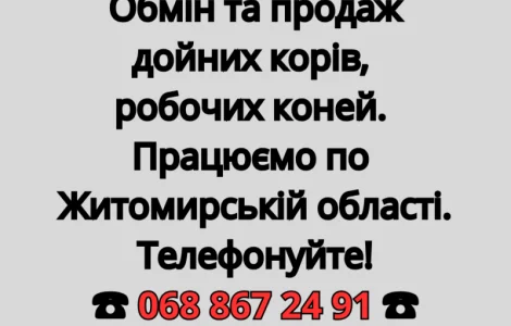 Обмін та продаж дойних корів