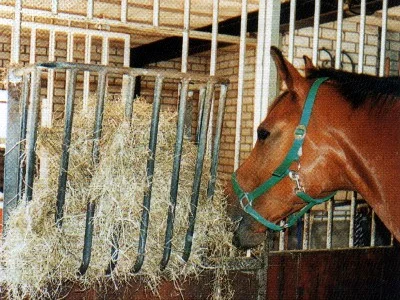 Сено луговое для лошадей
