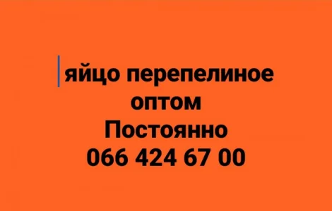 Куплю яйцо перепелиное оптом