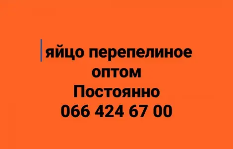 Куплю яйце перепелине оптом