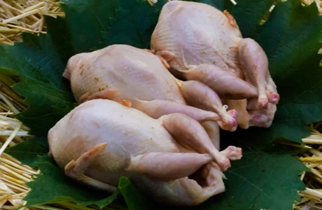 Тушки перепела оптом